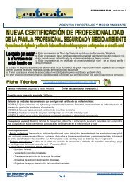 CERTIFICACIONES MEDIO AMBIENTE - CSIT UniÃ³n Profesional