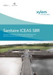 ICEAS brochure