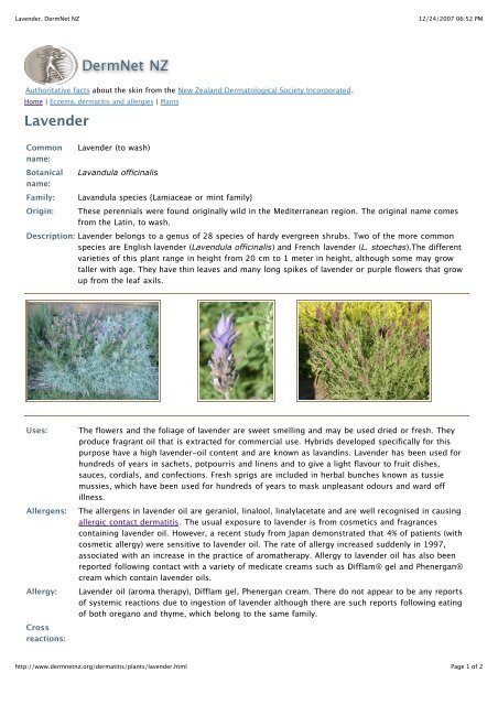 Lavender. DermNet NZ - Dr-baumann-international.co.uk