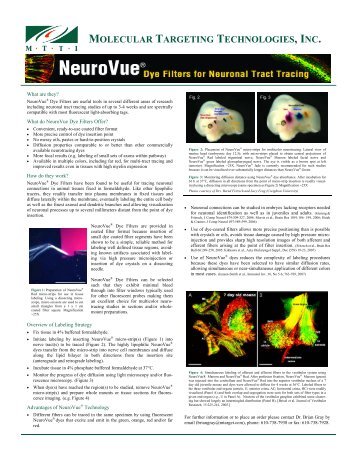 NeuroVue brochure dec6 2010 - Molecular Targeting Technology