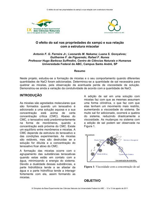 O efeito do sal nas propriedades do xampÃº e sua ... - BECN - Ufabc