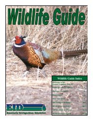 Wildlife Guide 11 x 17.pub - Eastern Irrigation District