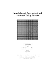 Morphology of Experimental and Simulated Turing Patterns