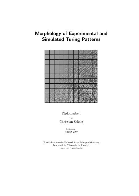 Morphology of Experimental and Simulated Turing Patterns