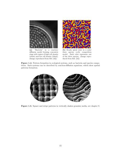 Morphology of Experimental and Simulated Turing Patterns