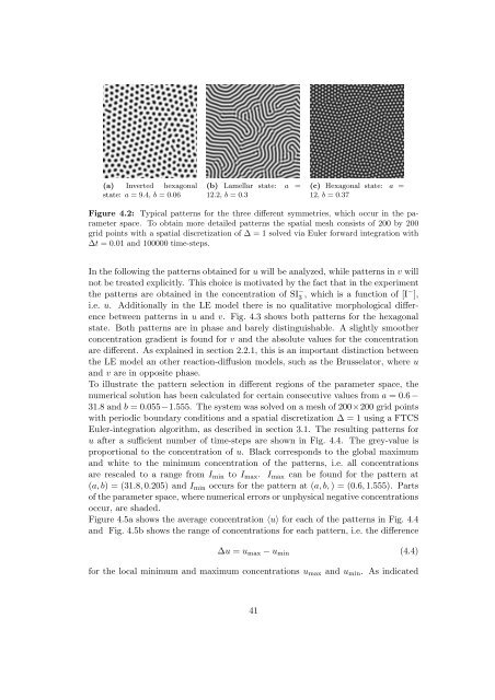 Morphology of Experimental and Simulated Turing Patterns