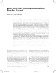 Geological Survey of Denmark and Greenland Bulletin 6, 89-97