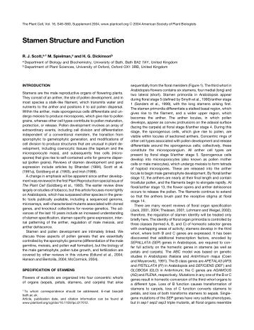 Stamen Structure and Function