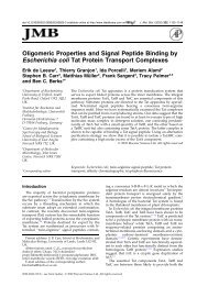 Oligomeric properties and signal peptide binding by Escherichia coli ...