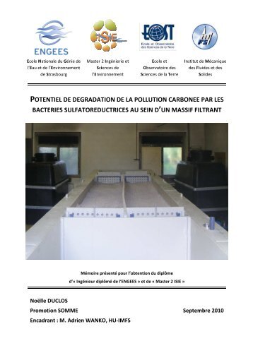 PDF (Rapport) - ENGEES - UniversitÃ© de Strasbourg