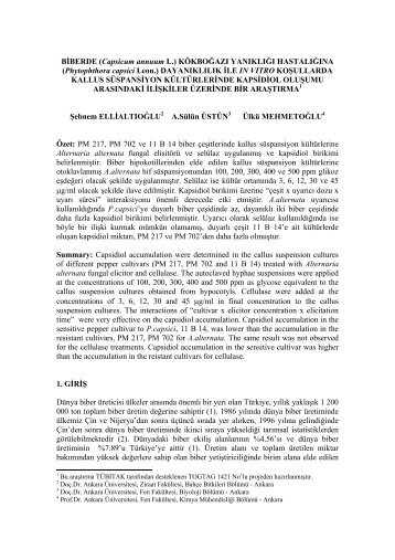 (Phytophthora capsici Leon.) DAYANIKLILIK Ä°LE IN VITRO KOÅUL