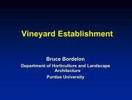 Vineyard Establishment - Viticulture Iowa State University