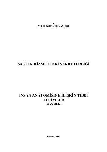 İnsan Anatomisine Ilişkin Tıbbi Terimler