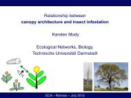 Relationship between canopy architecture and insect ... - Inra