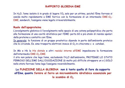 molecole trasportatrici di o negli animali : mioglobina ed emoglobina