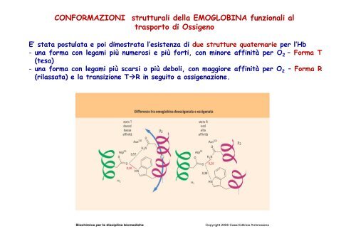 molecole trasportatrici di o negli animali : mioglobina ed emoglobina