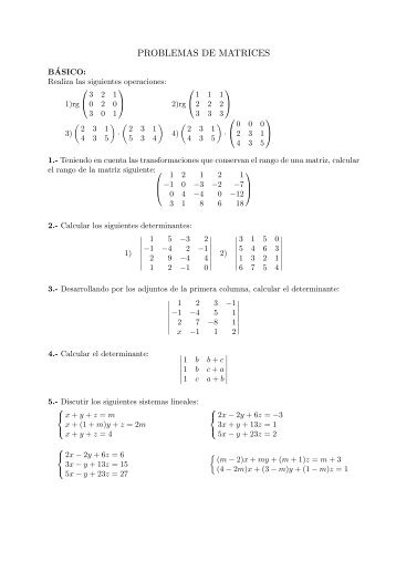 PROBLEMAS DE MATRICES