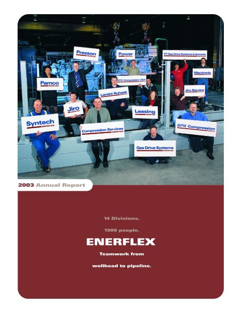 2003 Annual Report - Enerflex