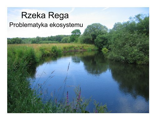 Rzeka Rega