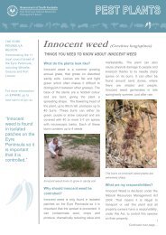 Innocent weed - Eyre Peninsula Natural Resources Management ...