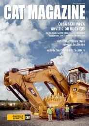 CAT magazÃƒÂ­n 50 - Phoenix Zeppelin