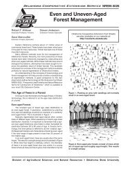 Even and Uneven-Aged Forest Management - Oklahoma Forestry ...