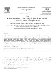 Effects of tea polyphenols on signal transduction pathways related to ...