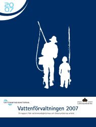 VattenfÃ¶rvaltningen 2007 - Vattenmyndigheterna
