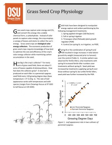 Grass Seed Crop Physiology - Crop and Soil Science