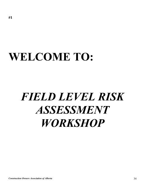 field level risk assessment - Construction Owners Association of ...