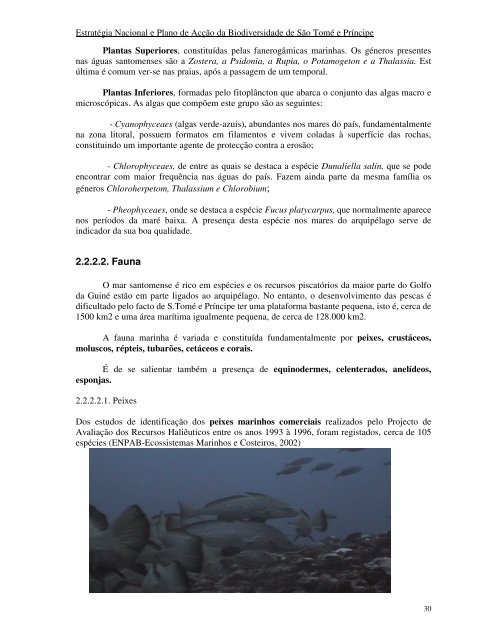 São Tomé e Prínci….pdf - Gabinete do Ambiente