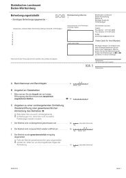 Formular (PDF) - Statistisches Landesamt Baden-WÃ¼rttemberg