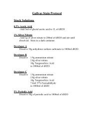 Gallyas Stain Protocol Stock Solutions