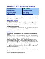 FAQs: Affinity Purified Antibodies and Conjugates - KPL