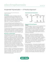 Acrylamide Polymerization - Bio-Rad