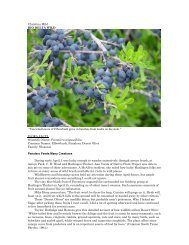 Forestiera angustifolia.pdf - Christina Mild's 