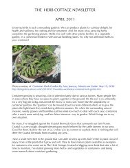List Of Companion Planting The Herb Cottage