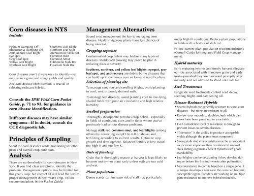 Diseases of Corn - New York State Integrated Pest Management ...