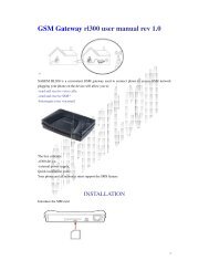 rl300 user manual rev 1.pdf
