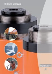 Hydraulic cylinders - Eiva-Safex