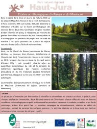 Etudes ornithologiques du Risoux et du Massacre - Parc naturel ...