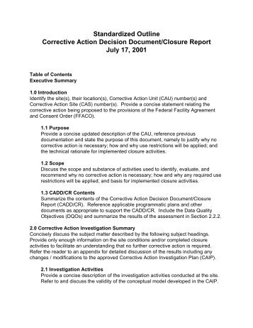 Corrective Action Decision Document/Closure Report