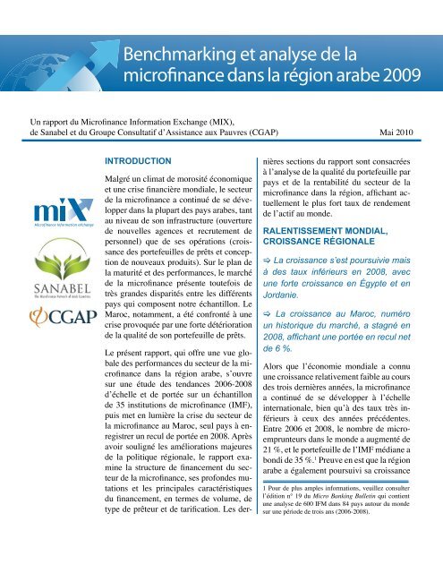Benchmarking et analyse de la microfinance dans la rÃ©gion arabe ...