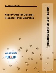 Nuclear Grade Ion Exchange Resins for Power Generation - Purolite