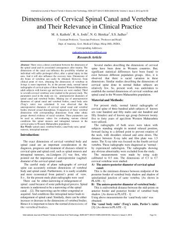 Dimensions of Cervical Spinal Canal and Vertebrae ... - Statperson