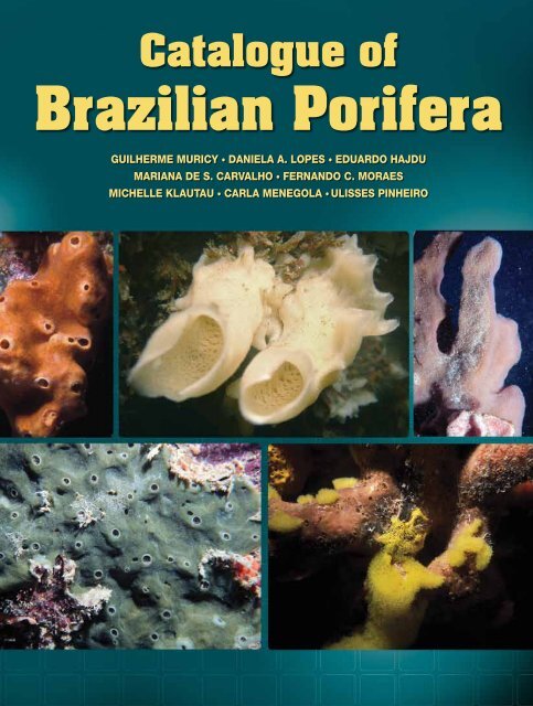 Catalogue of Brazilian Porifera - Porifera Brasil - UFRJ