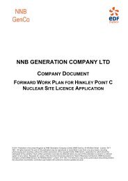 NNB GENERATION COMPANY LTD - EDF Hinkley Point