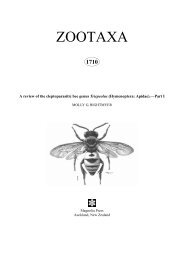 Zootaxa, A review of the cleptoparasitic bee genus Triepeolus ...