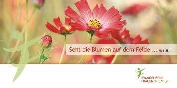 Seht die Blumen auf dem Felde ... Mt 6,28