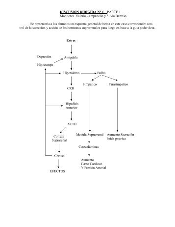 Discusion Dirigida NÂ°1 parte 1 pdf